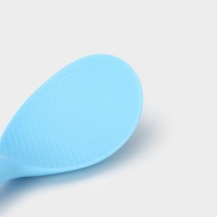 Ложка Доляна &laquo;Дуэт&raquo;, 24&times;7,5&times;4 см, цвет голубой