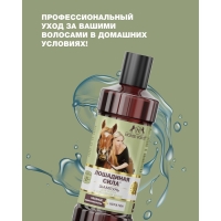 Шампунь Лошадиная сила для роста и укрепления волос с креатином на основе овсяных ПАВ, 250 мл