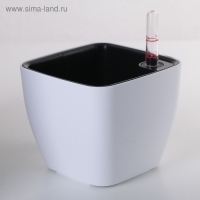 Кашпо для цветов с автополивом Unicum, пластик, 1,1 л, цвет МИКС Кашпо для цветов с автополивом Unicum, пластик, 1,1 л, цвет МИКС