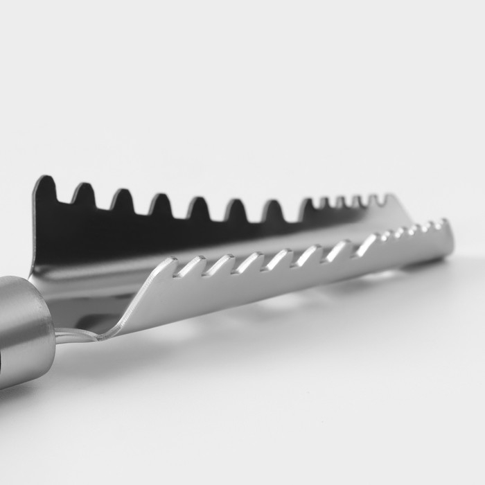 Рыбочистка Доляна Venus, 25 см, нержавеющая сталь, цвет чёрный Рыбочистка Доляна Venus, 25 см, нержавеющая сталь, цвет чёрный