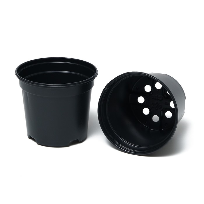 Набор для рассады: стаканы по 520 мл (8 шт.), поддон 40 &times; 30 см, чёрный, Greengo