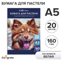 Бумага для пастели А5, 20 листов "Собака", блок 160 г/м2, в папке Бумага для пастели А5, 20 листов "Собака", блок 160 г/м2, в папке