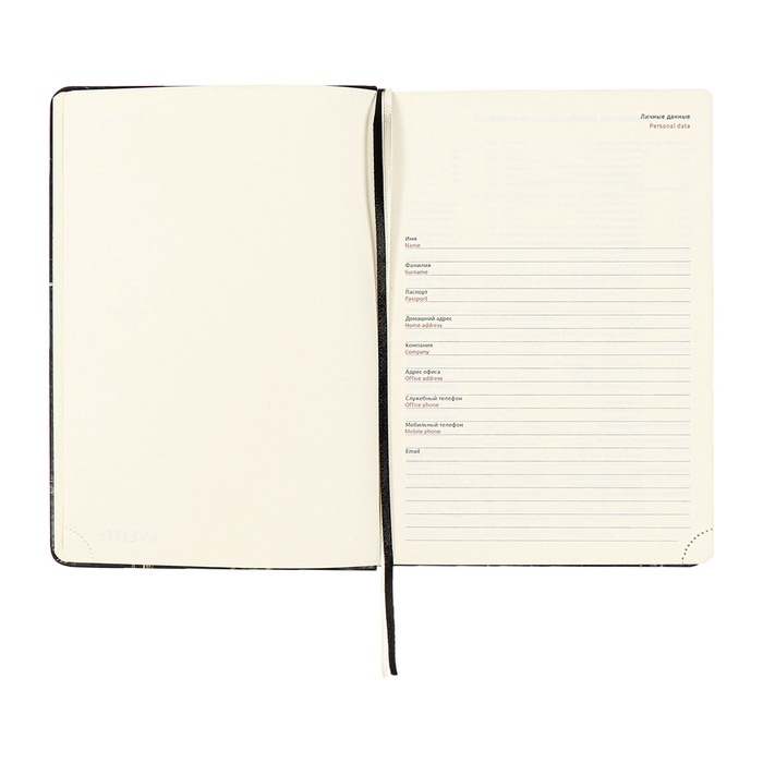 Ежедневник недатированный A5 136 листов, кожзам deVENTE. Marble, твердая обложка с поролоном, перфорация, ляссе, блок 70, черный