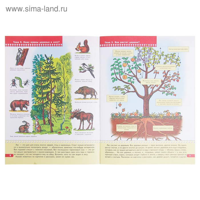 Полный годовой курс от 6 до 7 лет. 12 книг с играми и наклейками. Денисова Д. Полный годовой курс от 6 до 7 лет. 12 книг с играми и наклейками. Денисова Д.