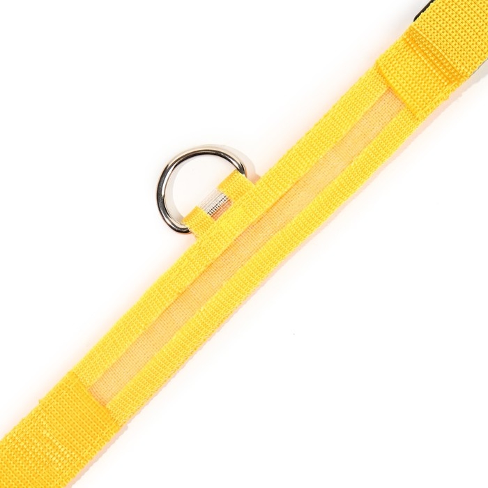 Ошейник с подсветкой размер S, ОШ 35-43 х 2,5 см, 3 режима свечения жёлтый Ошейник с подсветкой размер S, ОШ 35-43 х 2,5 см, 3 режима свечения жёлтый