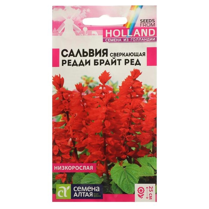Семена цветов Сальвия Семена цветов Сальвия "Редди Брайт", ред, сверкающая, Сем. Алт, ц/п, 5 шт