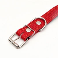 Ошейник кожаный с тиснением на синтепоне, 65 х 3 см, ОШ 40-55 см, красный Ошейник кожаный с тиснением на синтепоне, 65 х 3 см, ОШ 40-55 см, красный