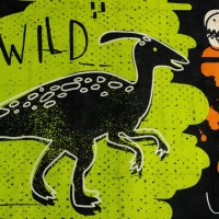 Постельное бельё Этель 1,5 сп "Dinoera" 143х215 см, 150х214 см, 50х70 см -1 шт, бязь Постельное бельё Этель 1,5 сп "Dinoera" 143х215 см, 150х214 см, 50х70 см -1 шт, бязь