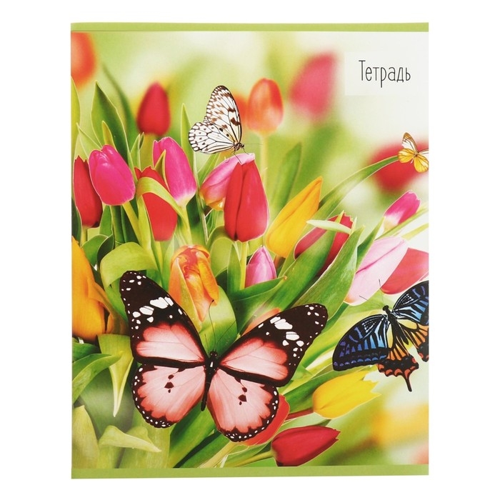 Комплект тетрадей из 5 штук (4 разные + 1 повторяющаяся), 36 листов в клетку Calligrata Комплект тетрадей из 5 штук (4 разные + 1 повторяющаяся), 36 листов в клетку Calligrata "Бабочки", обложка мелованная бумага, блок №2, белизна 75% (серые листы)