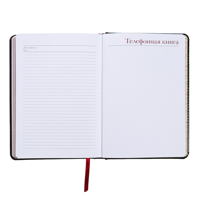 Ежедневник недатированный А5+, 136 листов Sidney Nebraska, твёрдая обложка, искусственная кожа, серебряный срез, чёрный