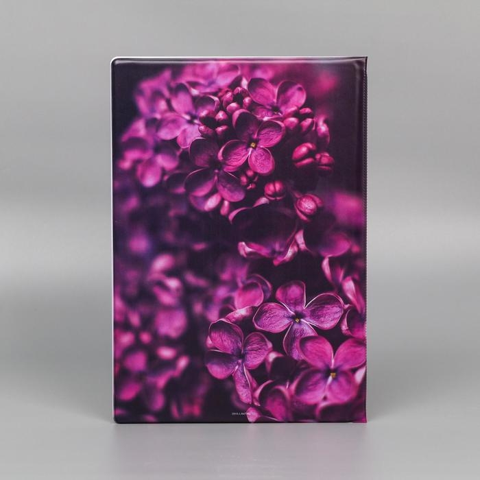 Папка для документов &laquo;Docs&raquo;, 8 файлов А4