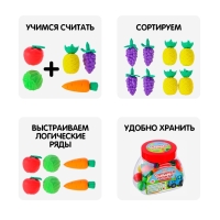 Развивающий набор &laquo;Сортируем урожай&raquo;