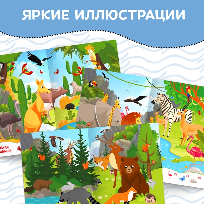 Книжка с маркером &laquo;Пиши-стирай. Найди и покажи&raquo;, 12 стр.