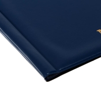 Альбом для монет 125 х 185 мм Calligrata "Комби" на 138 монет, 8 листов, обложка ПВХ, синий