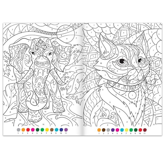 Раскраска по номерам &laquo;Удивительный мир&raquo;, 16 стр., формат А4