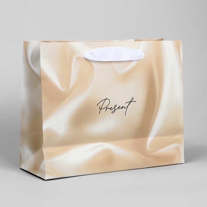 Пакет подарочный, упаковка, &laquo;Present&raquo;, 22 х 17.5 х 8 см