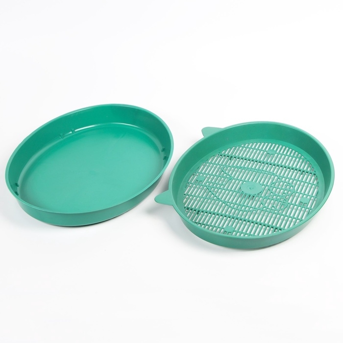 Туалет с сеткой Туалет с сеткой "Киса", 37 х 27 х 4 см, зелёный