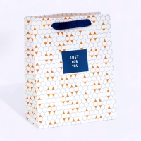 Пакет ламинированный &laquo;Ромбики&raquo;, MS 18 &times; 23 &times; 10 см