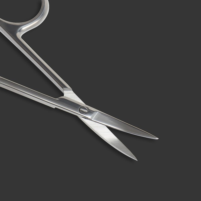 Ножницы маникюрные &laquo;Premium&raquo;, для кутикулы, загнутые, узкие, 10 см, на блистере, цвет серебристый