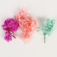 Набор сухоцветов &laquo;Гортензия&raquo;