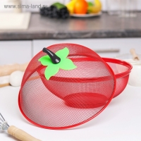 Сито с крышкой для хранения продуктов Доляна &laquo;Вкус&raquo;, d=25 см, цвет МИКС