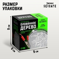 Набор для опытов &laquo;Оловянное дерево&raquo;