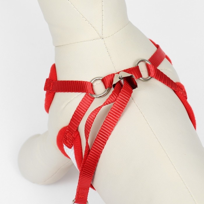 Комплект с мягкой шлейкой и бантиком, размер L, поводок 120 x 1,5 см, ОГ 35-50 см, красный