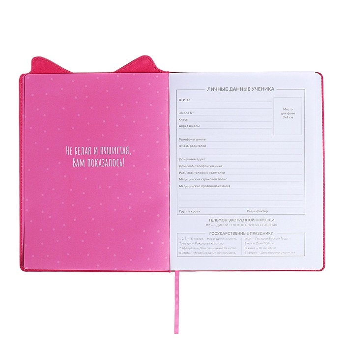 Дневник школьный для 1-11 классов, БОСС ШПИЦ, твёрдая обложка с поролоном, искусственная кожа, фигурная вырубка, ляссе, универсальная шпаргалка, 48 листов, блок 80г/м2