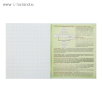 Тетрадь предметная Calligrata "Неон", 48 листов в клетку Биология, со справочным материалом, обложка мелованный картон, УФ-лак, блок офсет Тетрадь предметная Calligrata "Неон", 48 листов в клетку Биология, со справочным материалом, обложка мелованный картон, УФ-лак, блок офсет