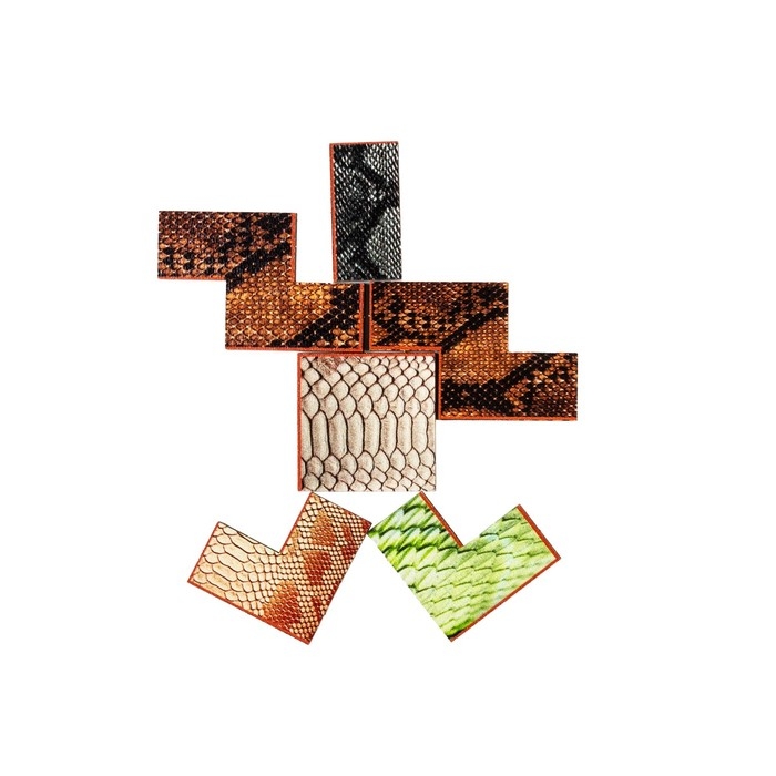 Тетрис &laquo;Текстуры змей&raquo;, А5, 19 дет.