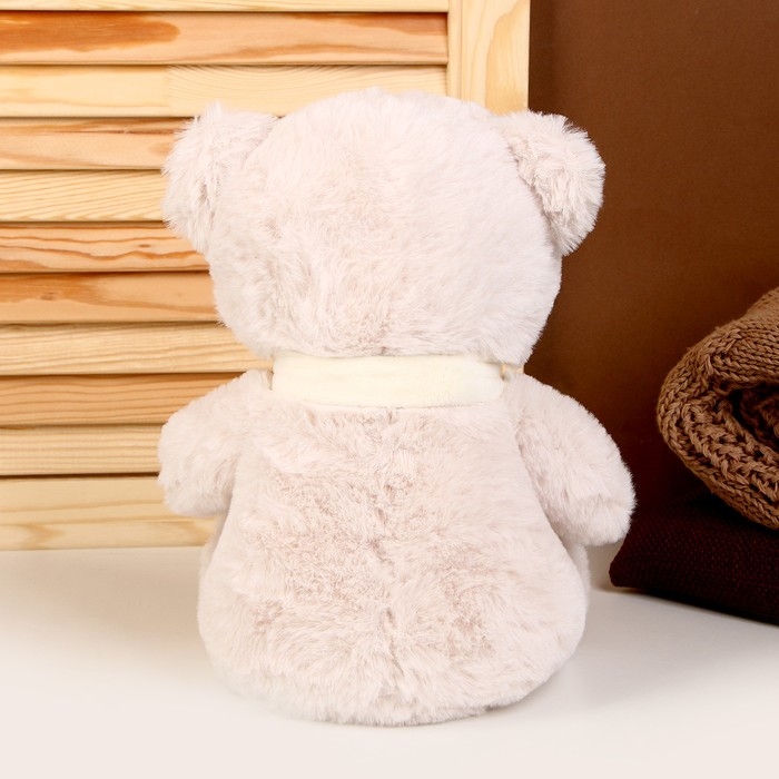 Мягкая игрушка «Мишутка в шарфе», 25 см, цвета МИКС Мягкая игрушка «Мишутка в шарфе», 25 см, цвета МИКС