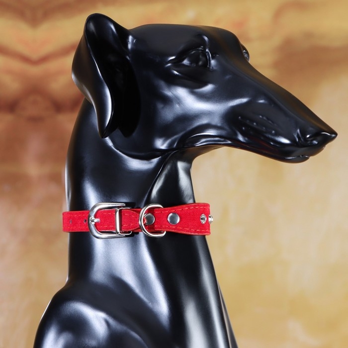 Ошейник Ошейник "Бархат и стразы", 31 х 1,3/2 см, ОШ 22-28 см, красный
