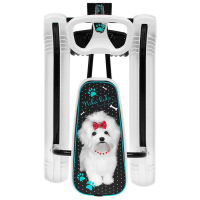 Снегокат &laquo;Тимка Спорт 2 + Болонка&raquo;, ТС2+/БЛ, цвет белый/чёрный