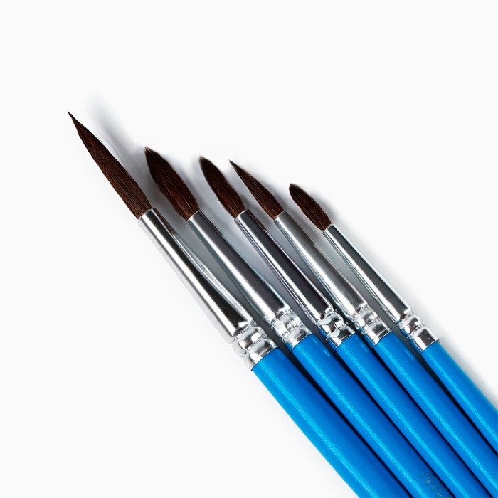 Кисть для рисования набор 5 шт. пони круглые № 1,2,3,4,5 &laquo;Девушка с серёжкой&raquo;