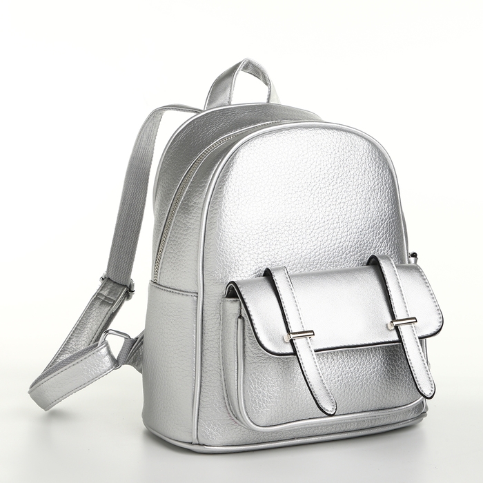 Рюкзак городской на молнии, цвет серебряный Рюкзак городской на молнии, цвет серебряный