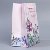 Пакет подарочный ламинированный вертикальный, упаковка, &laquo;Любимой сестре&raquo;, MS 18 х 23 х 10 см