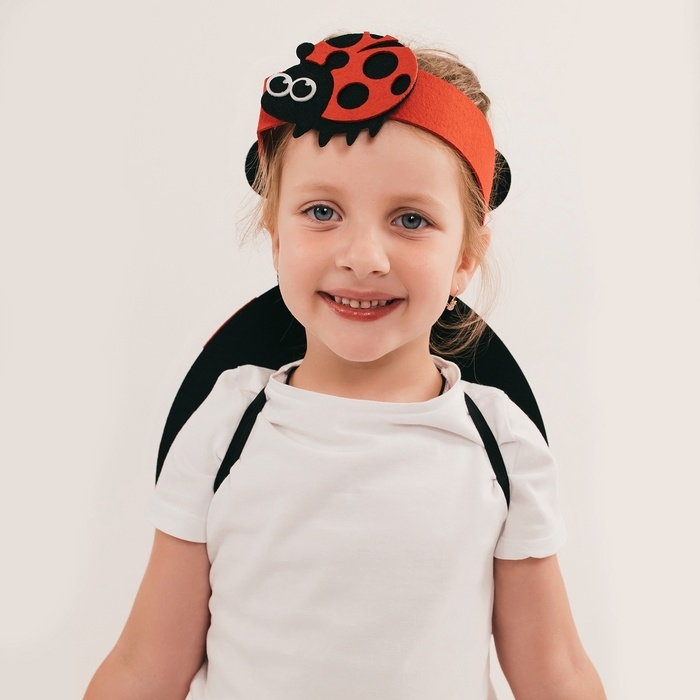 Карнавальный набор &laquo;Весёлые насекомые&raquo;: повязка и божья коровка из фетра, 3&ndash;7 лет