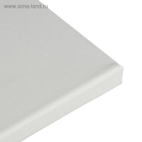 Холст на подрамнике, хлопок 100%, 40 х 50 х 1.8 см, акриловый грунт, мелкозернистый, 280 г/м2 "Студия" Холст на подрамнике, хлопок 100%, 40 х 50 х 1.8 см, акриловый грунт, мелкозернистый, 280 г/м2 "Студия"