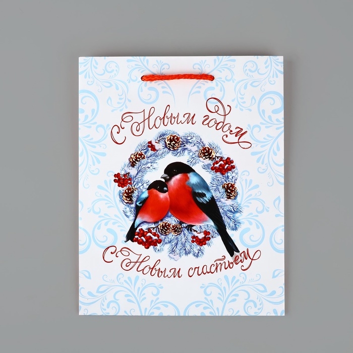Пакет подарочный новогодний ламинированный &laquo;С Новым годом&raquo;, снегири, MS 18 х 23 х 8 см, Новый год