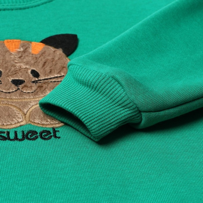 Костюм для девочек (свитшот, брюки), НАЧЁС, цвет зелёный, рост 86 см Костюм для девочек (свитшот, брюки), НАЧЁС, цвет зелёный, рост 86 см