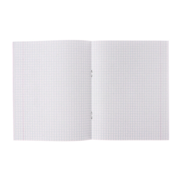 Комплект тетрадей из 5 штук (4 разные + 1 повторяющаяся), 48 листов в клетку Calligrata Комплект тетрадей из 5 штук (4 разные + 1 повторяющаяся), 48 листов в клетку Calligrata "Корабли", обложка мелованная бумага, блок №2, белизна 75% (серые листы)