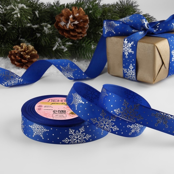 Лента репсовая с тиснением &laquo;Фигурные снежинки&raquo;, 25 мм, 23 &plusmn; 1 м, цвет синий/серебряный №040