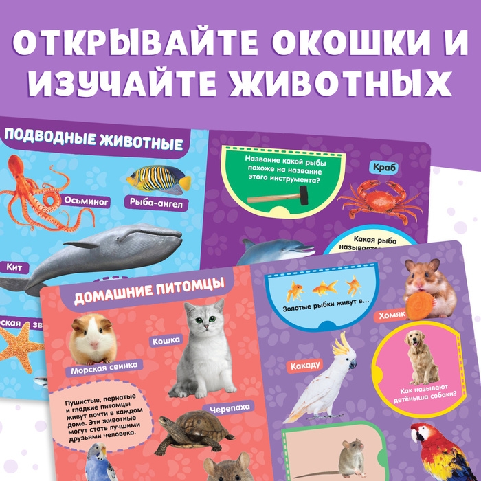 Книжка картонная с окошками «Животные», 10 стр. Книжка картонная с окошками «Животные», 10 стр.