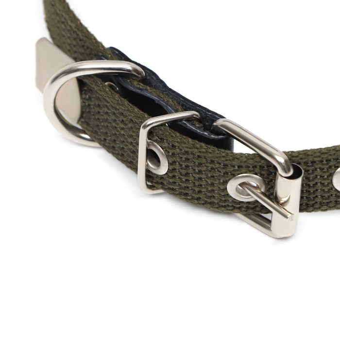 Ошейник брезентовый однослойный, 50 х 2 см, ОШ 25-35 см, хаки Ошейник брезентовый однослойный, 50 х 2 см, ОШ 25-35 см, хаки