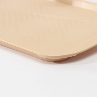 Поднос, 49,5×35 см, цвет бежевый Поднос, 49,5×35 см, цвет бежевый