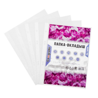 Файл-вкладыш А5, 80 мкм, Calligrata, плотные, глянцевый, вертикальный, 50 штук Файл-вкладыш А5, 80 мкм, Calligrata, плотные, глянцевый, вертикальный, 50 штук
