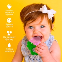 Набор &laquo;Охлаждающие прорезыватели для зубов&raquo;, пищевой силикон, в кейсе, 3 шт.