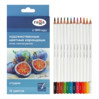 Карандаши цветные 12 цветов Гамма "Студия", диаметр грифеля 3,3 мм Карандаши цветные 12 цветов Гамма "Студия", диаметр грифеля 3,3 мм