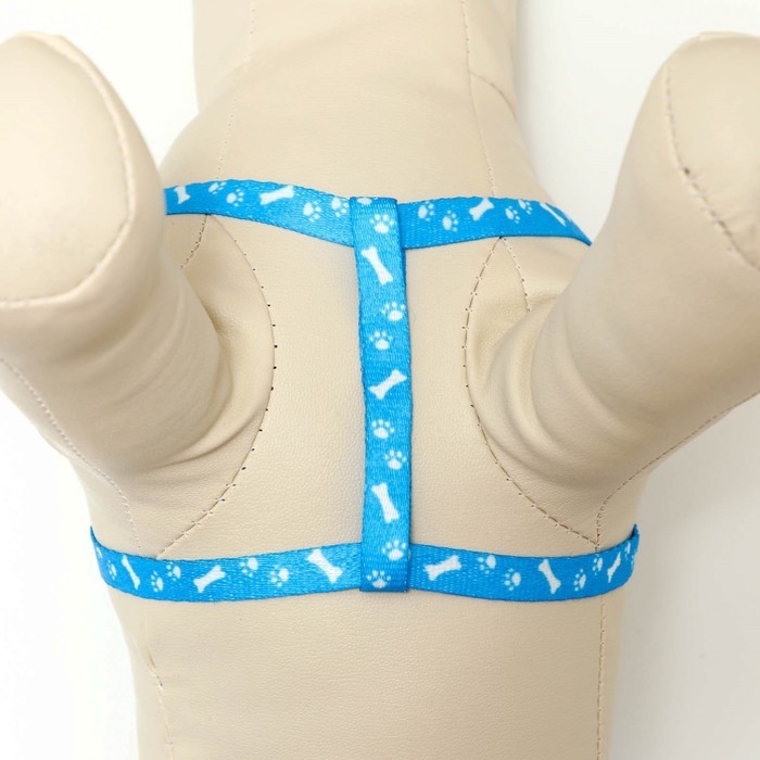 Комплект "Классика", капрон, поводок 120 х 1 см, ОГ 21-35 см, голубой