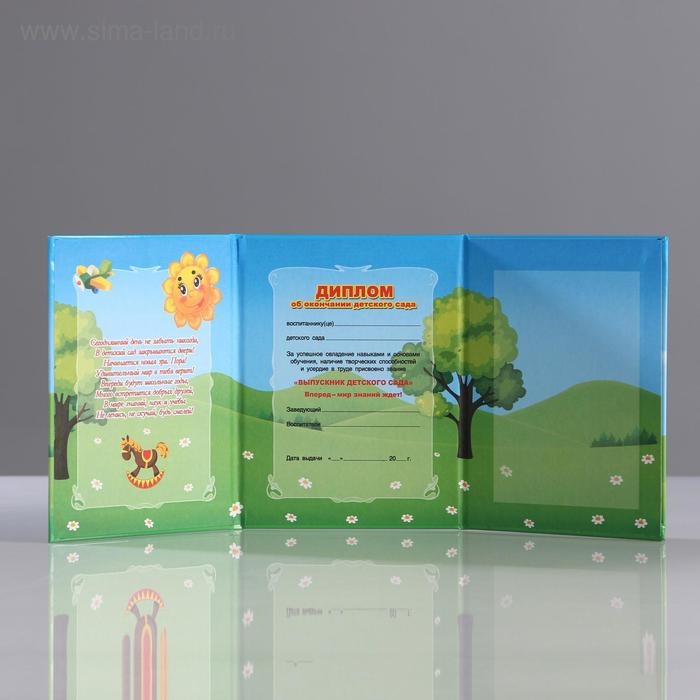 Диплом Диплом "Об окончании детского сада" 3 ств, самолёт, А7